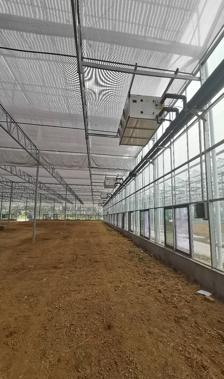 080436127.jpg 微信圖片_20231212100849.jpg